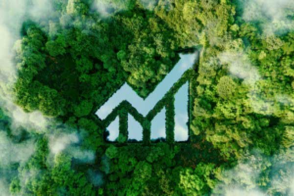 中小银行评级分化：秦农农商行、三峡银行等8家评级上调，靠什么？